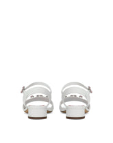 Nappa leather sandals with embroidery -  | Dolce & Gabbana