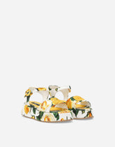 Printed canvas sandals -  | Dolce & Gabbana