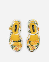 Printed canvas sandals -  | Dolce & Gabbana