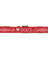 Dolce & Gabbana Belt In Two-Toned Stretch Calf Leather -  | Dolce & Gabbana