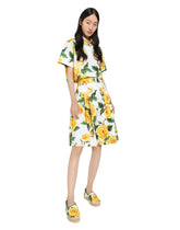  -  | Dolce & Gabbana