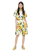  -  | Dolce & Gabbana