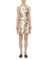 Day Dress -  | Dolce & Gabbana