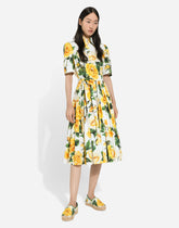 Cotton shirt dress with yellow rose print -  | Dolce &amp; Gabbana