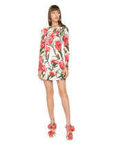 -  | Dolce & Gabbana