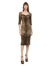 Leo print cady longuette dress -  | Dolce &amp; Gabbana