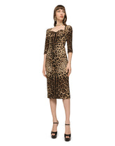 Leo print cady longuette dress -  | Dolce &amp; Gabbana