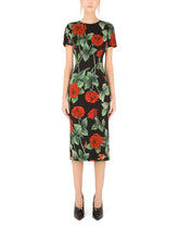 Cocktail Dress -  | Dolce & Gabbana