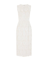 Laminated lace calf-length dress -  | Dolce & Gabbana
