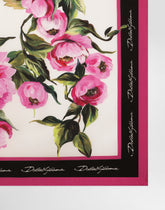 Foulard -  | Dolce &amp; Gabbana