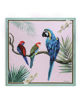 Foulard -  | Dolce & Gabbana
