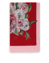 Dolce &amp; Gabbana Modal And Cashmere Stole -  | Dolce &amp; Gabbana