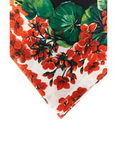 Foulard -  | Dolce &amp; Gabbana