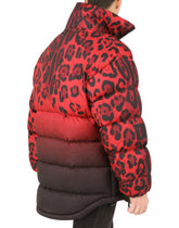 Leopard-print reversible jacket -  | Dolce &amp; Gabbana