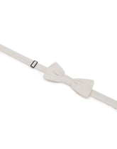 Papillon -  | Dolce &amp; Gabbana