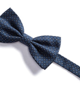 Papillon -  | Dolce &amp; Gabbana