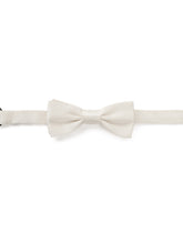 Papillon -  | Dolce & Gabbana