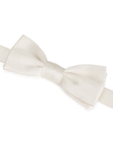 Papillon -  | Dolce & Gabbana