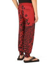 Leopard-print jogging pants -  | Dolce & Gabbana