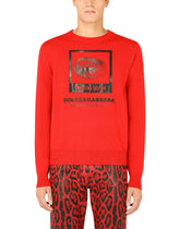 Wool round-neck sweater with intarsia and print -  | Dolce &amp; Gabbana