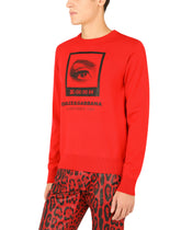 Wool round-neck sweater with intarsia and print -  | Dolce &amp; Gabbana