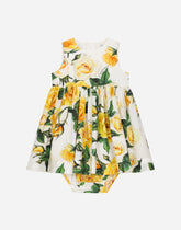 Poplin dress with bloomers and yellow rose print -  | Dolce &amp; Gabbana