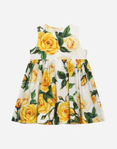 Poplin dress with bloomers and yellow rose print -  | Dolce &amp; Gabbana