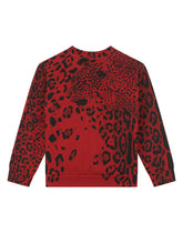 Leopard-print jersey sweatshirt -  | Dolce & Gabbana