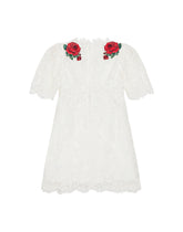 Lace dress with embroidery -  | Dolce &amp; Gabbana