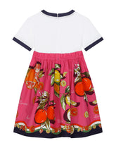 Citrus-print poplin and jersey dress -  | Dolce & Gabbana