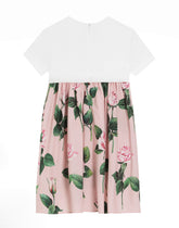 Rose-print poplin and jersey dress -  | Dolce &amp; Gabbana
