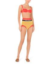 Jacquard tulle briefs/high-waisted panties with branded elastic -  | Dolce & Gabbana