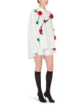 Shorts -  | Dolce & Gabbana