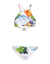 Hydrangea-print bikini with halterneck bikini top -  | Dolce & Gabbana