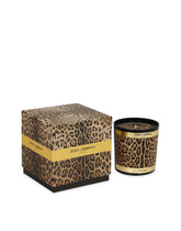 Scented Candle - Patchouli -  | Dolce &amp; Gabbana
