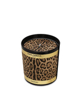 Scented Candle - Patchouli -  | Dolce &amp; Gabbana
