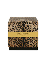 Scented Candle - Patchouli -  | Dolce &amp; Gabbana