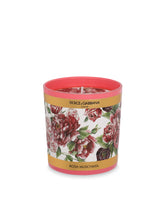 Scented Candle - Rosa Moschata -  | Dolce & Gabbana