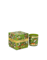 Scented Candle - Sicilian Orange -  | Dolce & Gabbana