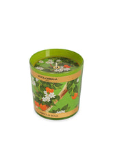 Scented Candle - Sicilian Orange -  | Dolce & Gabbana