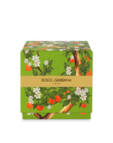 Scented Candle - Sicilian Orange -  | Dolce & Gabbana