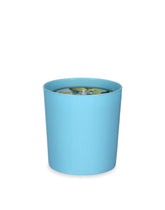 Scented Candle - Lemon -  | Dolce & Gabbana