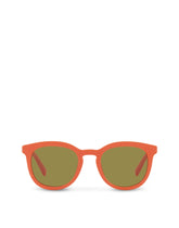 Inside nature Sunglasses -  | Dolce & Gabbana