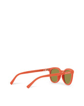 Inside nature Sunglasses -  | Dolce & Gabbana