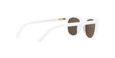 DNA sunglasses -  | Dolce & Gabbana