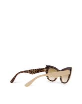 New print sunglasses -  | Dolce & Gabbana