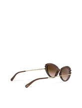 Occhiali -  | Dolce & Gabbana